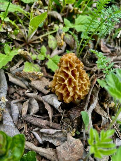 Auberge de Montmin · Michelin-starred restaurant · <span><span><span>High-altitude restaurant Annecy</span> </span></span>