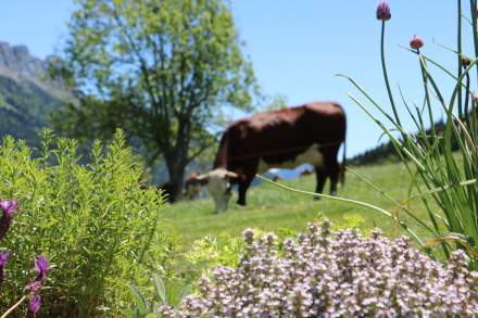 L'Auberge de Montmin · Restaurant étoilé au guide Michelin · <span><span><span>Restaurant d’altitude Annecy</span> </span></span>